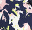 Bề mặt mịn màng In Polyester, Vải Satin thời trang 270T nhà cung cấp